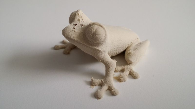 Файл:Leaf-frog-laybrick-2014-05-09-16.53.21-C-3Dprinterpoint.com-Medium-1024x576 18.jpg