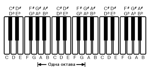 Рис. 5. Отображение октавы на музыкальной клавиатуре.