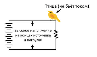 Файл:1 high-voltage-power-without-bird-getting-shocked.jpg