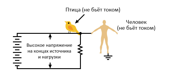 Файл:4 high-voltage-power-without-person-getting-shocked.jpg