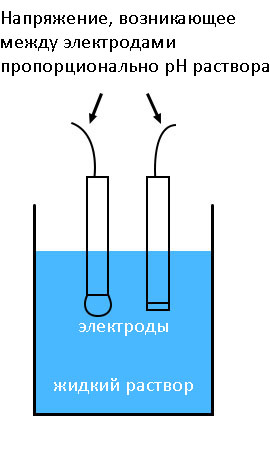 Рис. 2. pH-электроды.